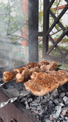 Outdoor grilling session captured with shashlik and steak