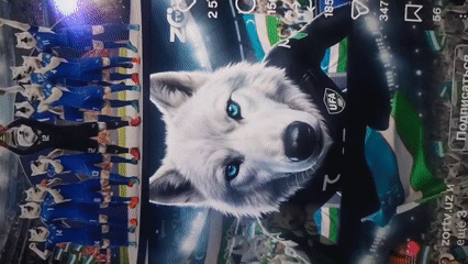 Football match content and fan media from Samarkand