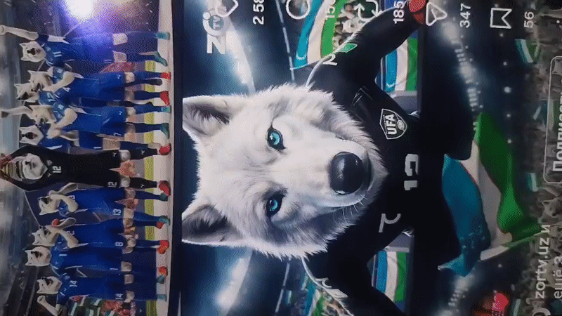 Football match content and fan media from Samarkand