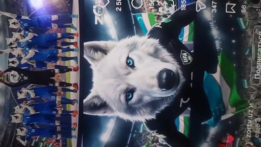 Football match content and fan media from Samarkand