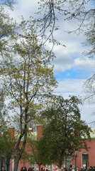 Tourist activities documented at Saint Petersburg's Peter Paul Fortress