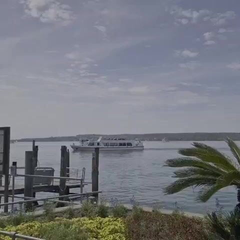This media file captures a serene daytime scene on a body of water, likely a lake or calm sea, with a ferry boat actively transporting passengers. The sky is partly cloudy, suggesting a pleasant, possibly mild weather day.

The main subject is a large, white passenger ferry sailing across the water. It has multiple decks with many windows and passengers can be seen on the upper deck, enjoying the voyage. In the foreground, a wooden dock with sturdy pilings provides a sense of place, hinting at a waterfront or harbor area. Beyond the water, a tree-lined shore with a distant settlement is visible, suggesting a populated but still natural environment. A palm frond in the lower right corner adds a touch of tropical or temperate coastal ambiance. The overall mood is peaceful and leisurely, evoking a sense of vacation or a relaxing outing. The presence of the ferry and the dock indicate this is a location for water transportation and recreation. The lighting suggests it is daytime, likely late morning or afternoon, given the brightness. No text is visible in the media.