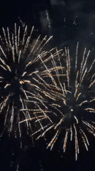 Fireworks Display Lights Up Evening Sky Over Yerevan