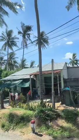 A video shows a view from a moving vehicle traveling along a road. The road surface is visible in the foreground, and a grassy verge lines the side of the road. Tall palm trees with fronds swaying in the wind dominate the scene. In the background, there are houses, some appearing to be in disrepair, with corrugated roofs and overgrown vegetation. Electrical wires are strung overhead, supported by utility poles. A few signs with Vietnamese text are visible on buildings and fences. The sky is blue with some scattered white clouds. The overall impression is of a tropical or sub-tropical environment.