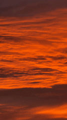 Driver captures vibrant sunrise over UK highway near Queensferry