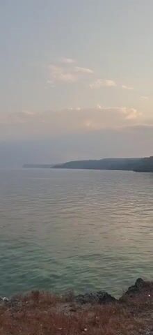 A vertical video shot from an elevated position overlooking a body of water. The water is calm with slight ripples and appears greenish in the shallow areas closest to the viewer, becoming a darker, muted blue-gray further out. The horizon is marked by a distant, low-lying coastline with hills covered in vegetation. The sky above is partly cloudy, with soft, muted colors suggesting either early morning or late evening light. The foreground shows rough, rocky terrain with sparse dry vegetation. The camera is static.