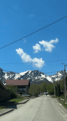 Tourist documents sunny morning exploration of Krasnaya Polyana forests