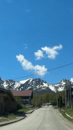 Tourist documents sunny morning exploration of Krasnaya Polyana forests