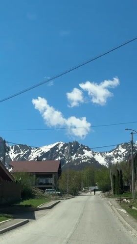 Tourist documents sunny morning exploration of Krasnaya Polyana forests