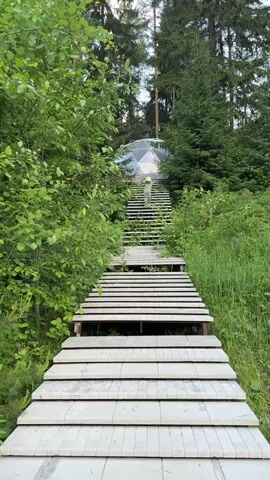 A person walks up a wooden staircase that leads to a geodesic dome. The staircase is made of light-colored wooden planks and is surrounded by lush green trees and foliage. The geodesic dome is visible at the top of the stairs, and it appears to be made of glass or transparent material. The scene is set in a forest environment, with tall trees and dense vegetation. The person is wearing light-colored clothing.