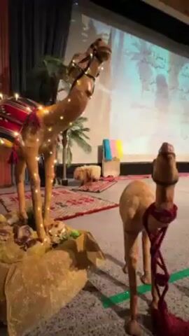 The video shows a group of children in costumes dancing on a stage in front of a projected image of palm trees and Arabic script.  Two static, decorated, toy camels are stage left. One camel is adorned with twinkling lights and a red and black saddle. A smaller toy camel stands beside it with a red rope around its neck. A red rug is visible. Some children are wearing traditional clothing. One child has a gold cape.  The music is loud.