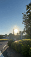 Morning scenes captured in Mont-roig del Camp resort area
