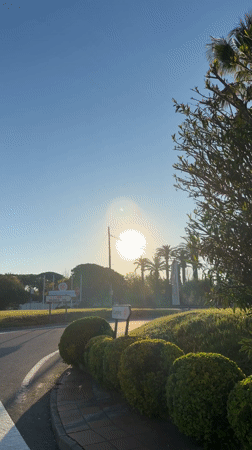 Morning scenes captured in Mont-roig del Camp resort area