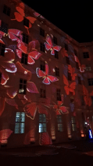 Building in Vienna illuminated with floral butterfly light projections