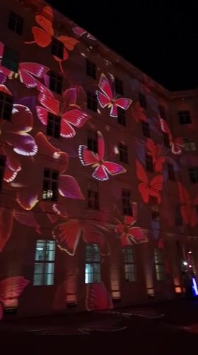 Building in Vienna illuminated with floral butterfly light projections