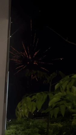 Fireworks display lights up night sky in Nha Trang