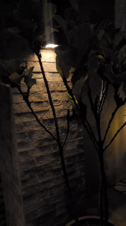 Nighttime scenes captured around Curitiba show urban lighting, plants