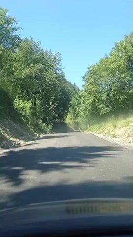 A drone perspective video shows a car driving on a paved road surrounded by trees. The road appears to be in a rural or mountainous area. The trees are lush and green, indicating a warm season. The sky is clear and blue. The video is shot from a high angle, looking down at the road and the car. The car is the only moving object in the video. The road is winding and appears to be in good condition. There are no other cars or people visible in the video. The video is brief and does not show any particular events or actions.