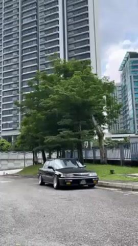 The video shows a black car parked in front of some trees and tall buildings. The car is angled slightly toward the camera, and the buildings rise high in the background, suggesting an urban or suburban setting. The trees provide a touch of greenery, contrasting with the buildings. The scene is still, with no apparent movement of people or objects during the video. The lighting is natural, indicating the shot was taken outdoors during the day.