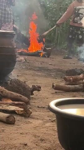 A medium shot captures an outdoor scene with a dirt ground. In the center, a fire burns with bright orange flames, consuming logs and possibly other materials. To the left, a large, dark, round pot stands on its side, leaning against unseen support. Several logs are piled on the ground in the foreground and to the left of the fire. To the right of the fire, more logs are scattered. In the far right foreground, a large, dark, circular basin filled with water is visible. Several people are present. On the left, a person wearing a patterned garment is partially visible. In the middle ground, a person is standing to the right of the fire, holding a long stick, and appears to be tending to the fire or something within it. To the right, another person stands facing away from the camera, wearing light-colored clothing. In the background, tall green plants, possibly corn stalks, are visible. The overall impression is of an outdoor cooking or processing activity.