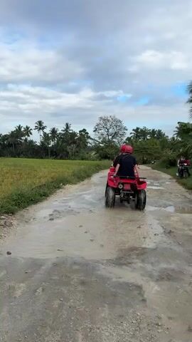 A group of people ride red ATVs on a muddy dirt road. The road is lined with a field of green crops on the left and palm trees and lush vegetation on the right. The sky is cloudy. The ATVs are moving away from the camera down the road. One ATV is in the foreground, followed by two more ATVs further down the road. On the far right of the road, a person sits on a motorcycle.
