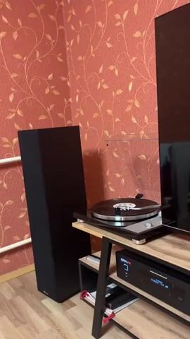 A vinyl record player is shown in the foreground, with a record on its turntable. To the left is a tall, black speaker. To the right is a television screen, partially visible. Below the turntable is a black audio receiver with a digital display. The background features red wallpaper with a delicate gold vine pattern. The scene appears to be indoors, possibly a living room.