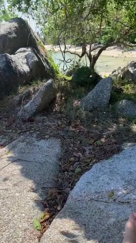 Person relaxes on rocks at Thai beach dawn