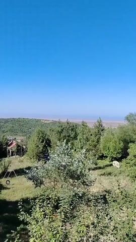 A high-angle, long shot captures a landscape under a clear blue sky. In the foreground, lush green trees and bushes dominate the view. A dark, rusty railing runs along the bottom of the frame, partially obscuring the scene. In the mid-ground, more trees, including some with lighter colored foliage, are visible. A white, rounded object, possibly a rock or a small animal, is situated among the trees. Beyond the trees, a hazy horizon stretches across the frame, suggesting a distant body of water or a flat, open expanse. The overall impression is a natural, serene outdoor environment on a sunny day.