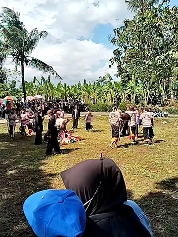 The video depicts an outdoor event in a grassy field, likely a cultural performance or gathering. Numerous people are present, some dressed in traditional attire with distinctive stripes, others in casual clothing. Several individuals appear to be dancing or performing rituals on the field, while others watch from the sidelines. Palm trees and banana plants dot the background, with a house visible in the distance. A blue baseball cap is visible in the foreground, suggesting the videographer is part of the crowd observing the event. The sky is partly cloudy.