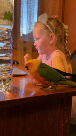 Laid-back afternoon indoors in Khimki, parrot and book in frame