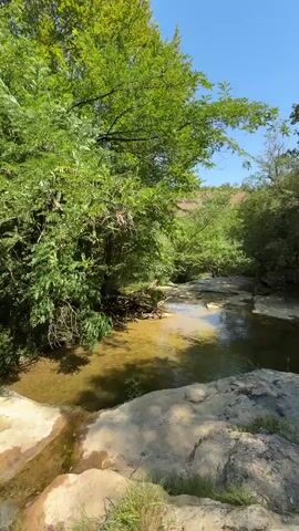 The video shows a clear blue sky above a lush green forest with a shallow, clear stream flowing through it. The stream has a rocky bed and the water is illuminated by the sunlight, creating a yellowish hue. Large, light-colored rocks are visible at the edge of the stream, some of which appear to be forming small waterfalls or cascades. The trees are dense and green, with sunlight filtering through their leaves, creating dappled patterns on the ground and water. The overall impression is a serene and natural environment, likely a park or wilderness area. There are no people or animals visible in the footage. The camera appears to be positioned at a slightly elevated vantage point, looking down at the stream.