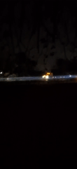 Nighttime scenes captured in Vallecito: traffic, flora, bright lights