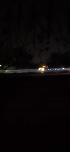 Nighttime scenes captured in Vallecito: traffic, flora, bright lights