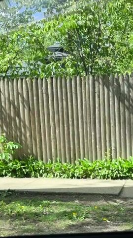 The video shows a moving view from a car window through a residential neighborhood on a sunny day. Initially, a tree trunk and a wooden fence are visible. As the car moves, the view opens to a street and houses. The houses are mostly two-story buildings with varying architectural styles, some featuring porches and well-maintained gardens. Sidewalks, power lines, and other typical neighborhood features such as trash bins are also seen. The camera's movement implies that the car is slowly driving through the streets.