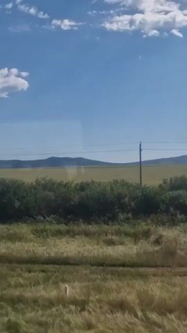 A video of a passing landscape from a window. The landscape consists of a field of dry grass in the foreground, followed by a line of green bushes and then a field of taller, golden grass. In the background, there are rolling hills under a blue sky with scattered white clouds. A utility pole is visible on the right side of the frame. The video appears to be filmed from a moving vehicle.