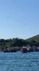 Colorful fishing boats moored in Nha Trang harbor