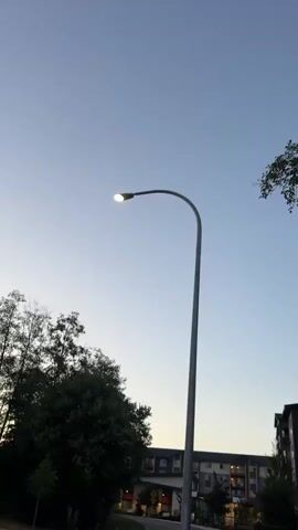 The video begins with a view of a streetlamp against a pale blue sky with a faint contrail. As the camera moves downwards, it shows the top of a tree on the left side of the frame. The video then transitions to a ground-level shot, focusing on a concrete surface with a thin dark line running horizontally across it. The final frames show a close-up of a white sneaker with laces, suggesting the perspective of someone walking. The lighting indicates it is likely dusk or dawn.