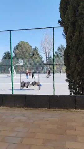 The scene is an outdoor basketball court enclosed by a chain-link fence with green posts, viewed from behind a low concrete wall. Several people are on the court. One individual, dressed in black, shoots a basketball towards the hoop. An older person wearing a red shirt stands near the basket, watching the shot. Another person in black and white stands nearby. Several other people are dispersed around the court. Behind the fence, a makeshift rack holds various clothes and bags. In the background are trees and what appears to be a building. The sky is clear and blue, suggesting a sunny day.