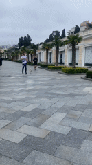 Morning scenes captured: joggers, Russian bookstore, park pathway