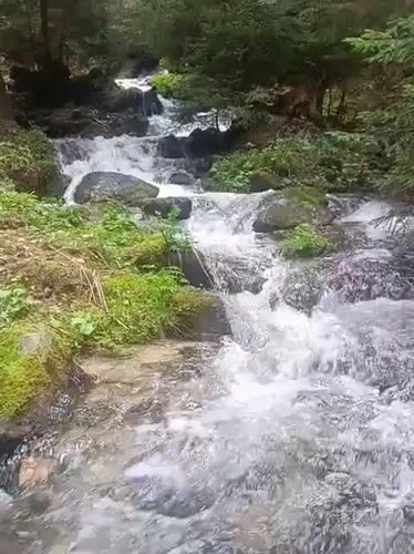 Forest stream captured flowing through Beli Iskar, Bulgaria