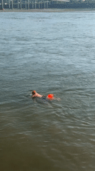 Morning riverside life unfolds in Jiangjin with swimmers, musicians, pedestrians