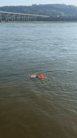 Morning riverside life unfolds in Jiangjin with swimmers, musicians, pedestrians