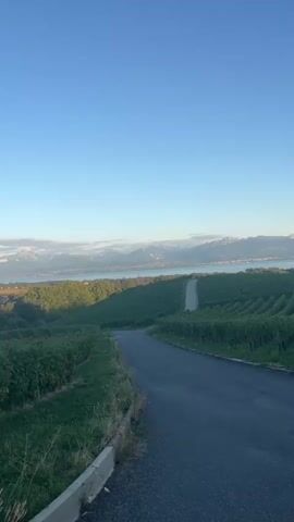The video shows a road winding through vineyards with a body of water and mountains in the distance. The sky is clear and blue. The vineyards are neatly planted in rows and appear to be healthy. The road is paved and curves to the right. The water in the distance is calm, and the mountains are covered in snow. The overall scene is peaceful and serene.