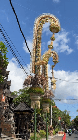 Traditional penjor ceremonial poles observed on Ubud street