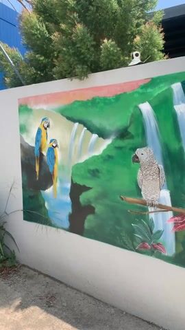 The video showcases a mural painted on a wall. The mural features a variety of scenes, including tropical waterfalls, parrots, a cockatoo, palm trees, a beach, and a dog. The colors are vibrant and the artwork is detailed. The camera pans across the mural, highlighting each section. The setting appears to be outdoors during the day, based on the natural light.