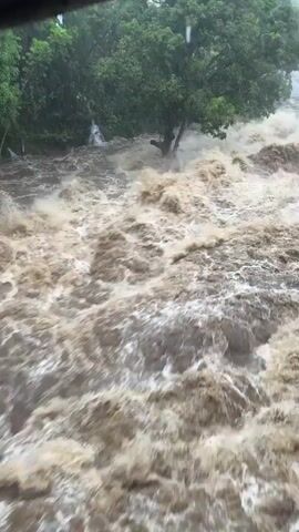 The video shows a raging brown floodwater torrent, likely a river, overflowing its banks and surging with immense force. The water is turbulent, filled with whitewater and debris. Lush green trees are visible on the banks, some partially submerged by the rising water. The sky appears overcast, suggesting continued rain or recent heavy rainfall contributing to the flood. The camera is positioned from a slightly elevated vantage point, looking down on the chaotic scene. The overall impression is one of overwhelming natural power and potential destruction.