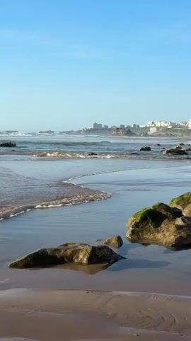 A vertical, static shot of a beach with a clear blue sky. The foreground shows wet sand with a few rocks, some covered in green moss. The middle ground features gentle waves lapping onto the shore, creating a foamy edge. In the background, a distant coastline is visible with buildings and rocky outcrops. The overall impression is a serene and natural coastal landscape.