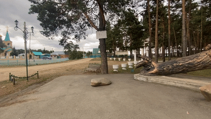 Tourist documents Sosnovka landmarks including bear sculptures, Orthodox church