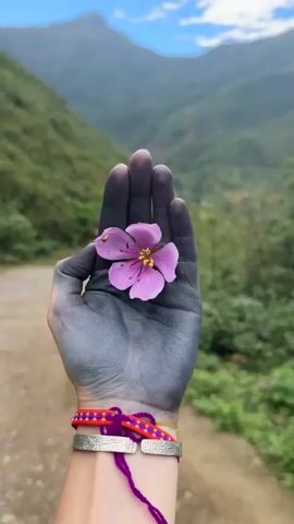 A hand with blue-gray dye holds a pink flower against a backdrop of mountains and greenery. The hand has two bracelets: one silver with a geometric pattern and one colorful, woven bracelet. The background includes a dirt path, lush green vegetation, and a blurred mountain range under a sky with scattered clouds. The hand and flower are in focus, while the background is slightly blurred.