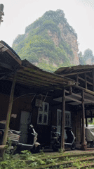 Decaying wooden structure and roadside scenery documented in Zhonghu